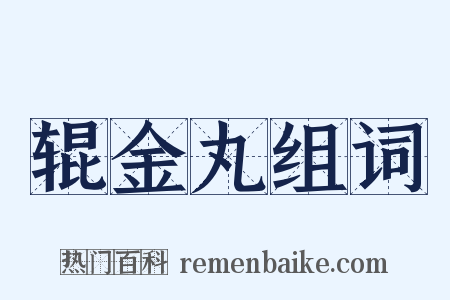 辊金丸组词是什么意思的图片